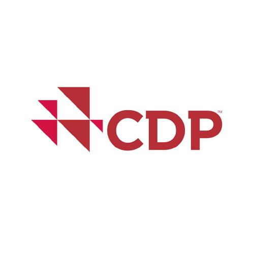 Carbon Disclosure Project
